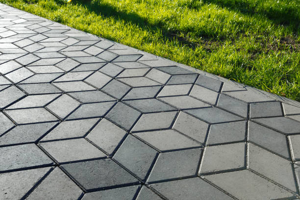 Best Decorative Driveway Pavers  in Wonder Lake, IL